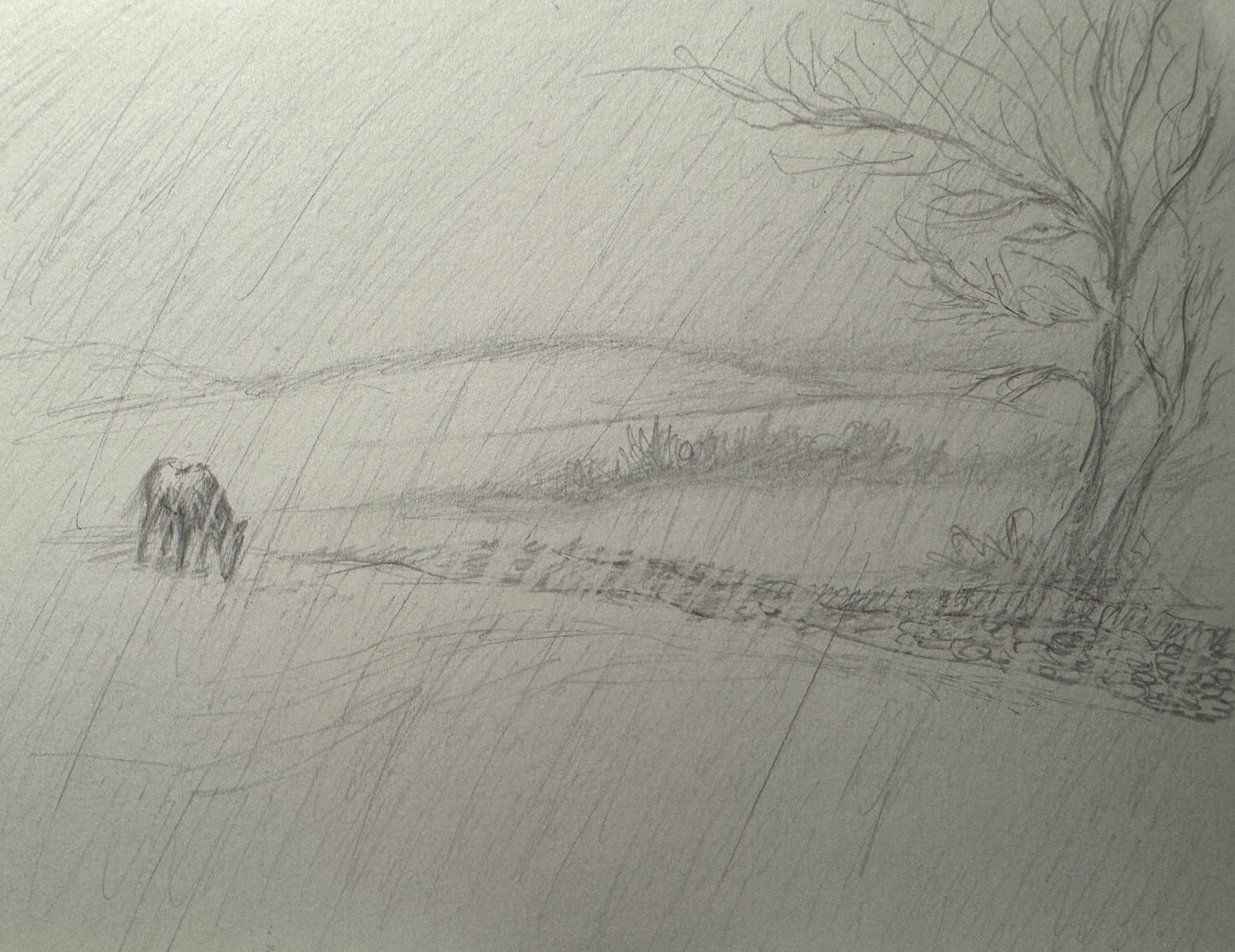 Lexington Rain