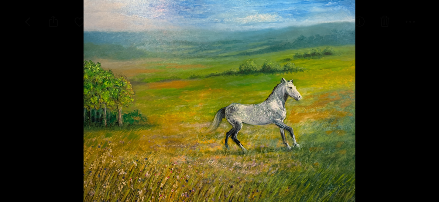 Kentucky Dappled Gray