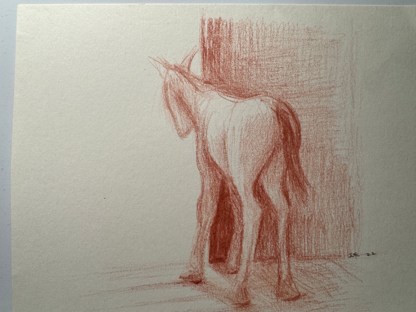 Timid foal
