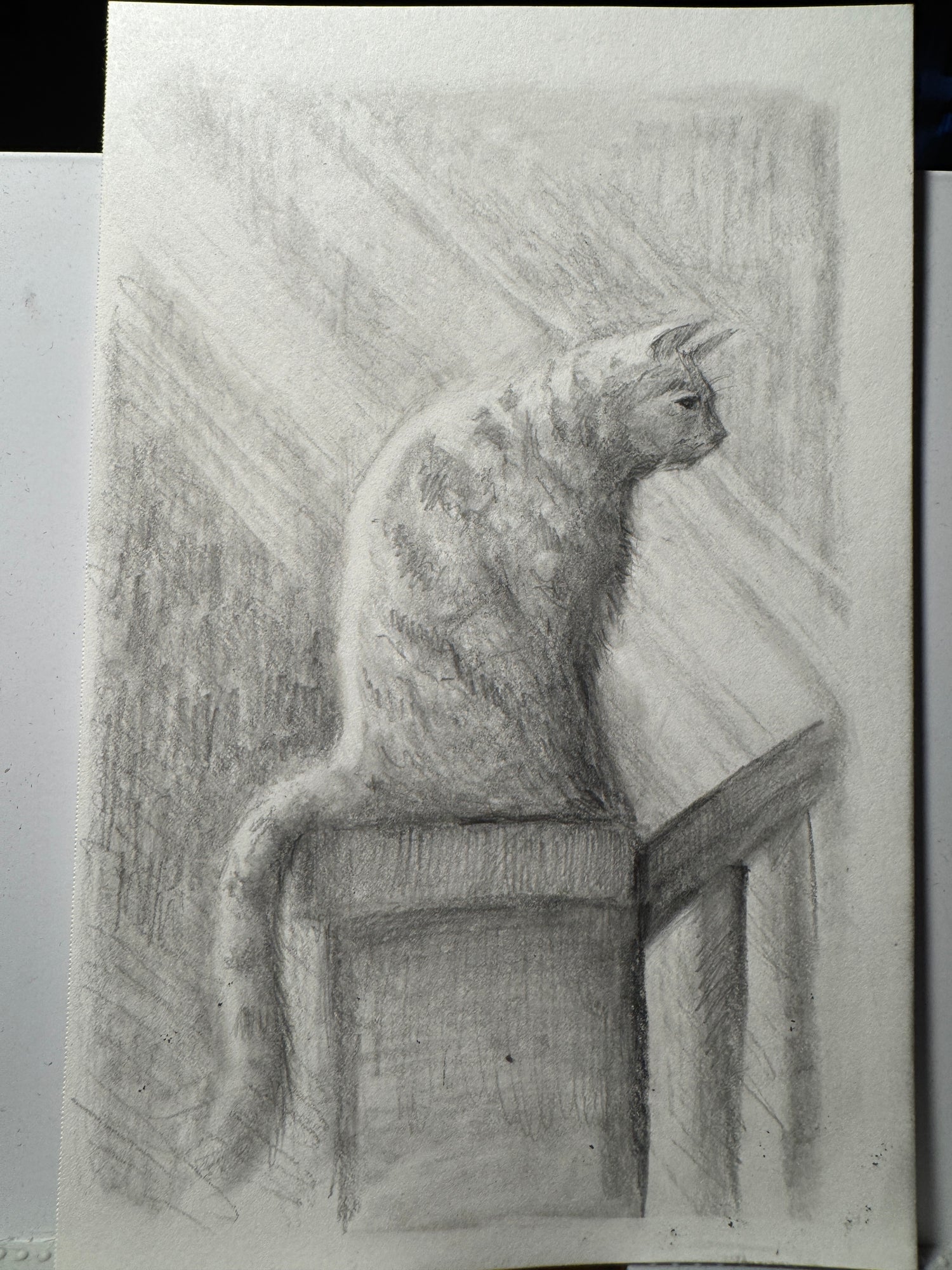 Drawings
