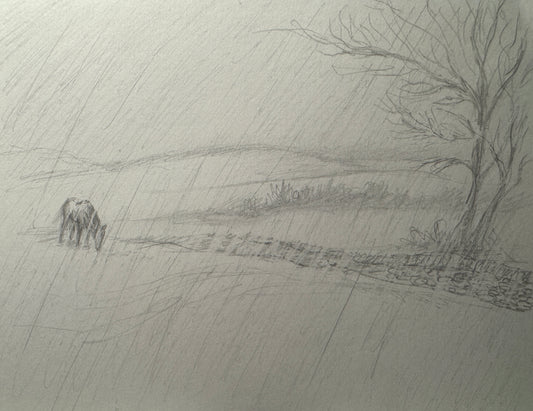 Lexington Rain