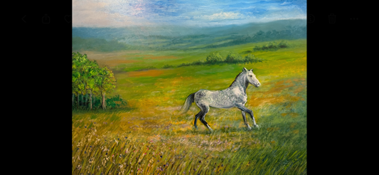 Kentucky Dappled Gray