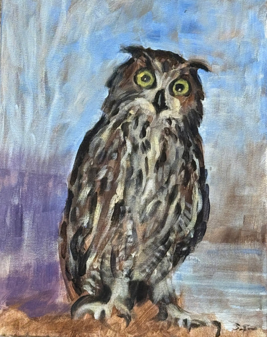 Owl