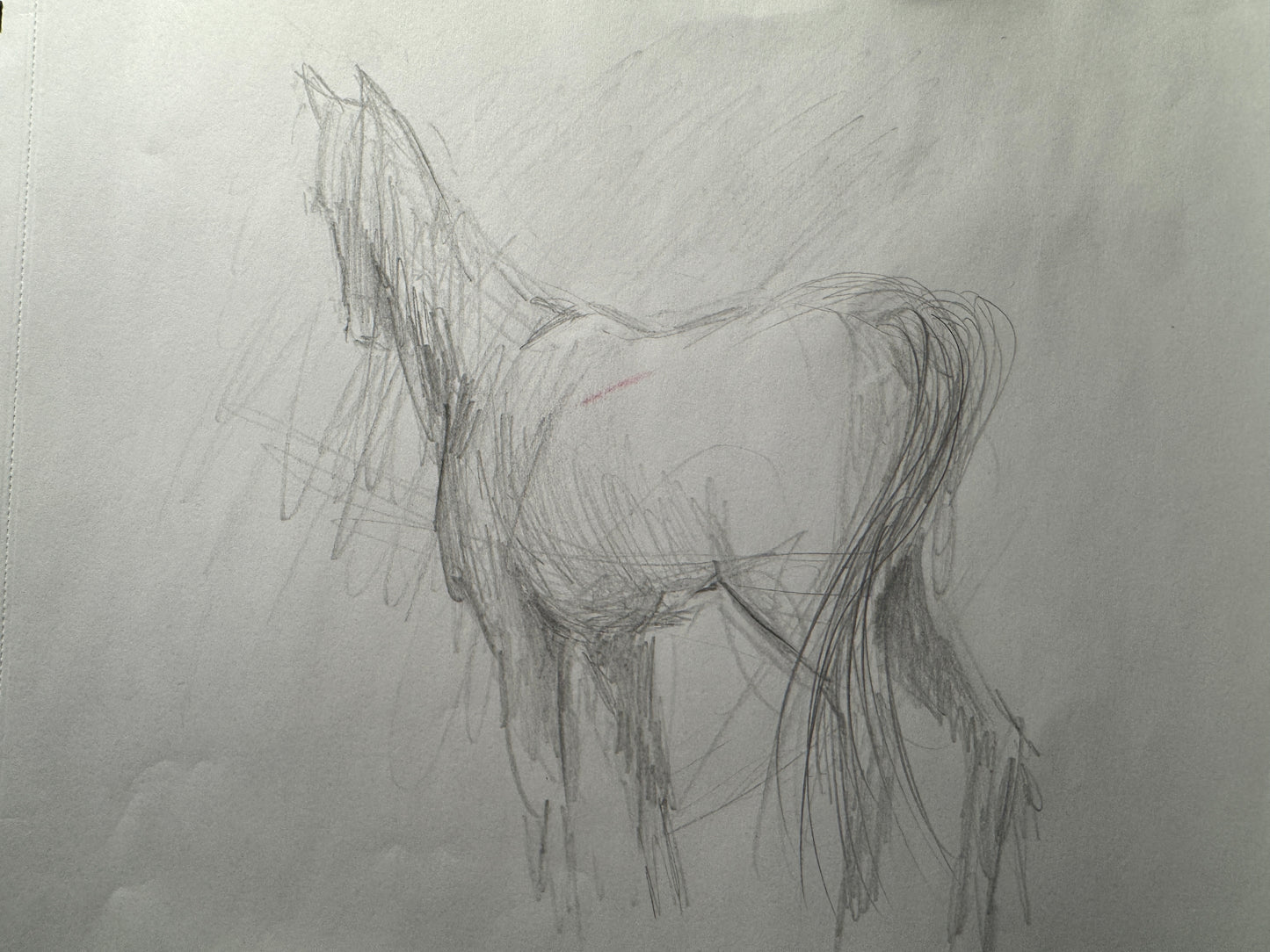 Mare Study