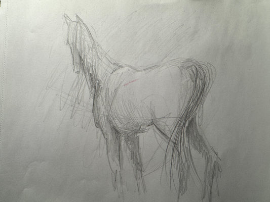Mare Study