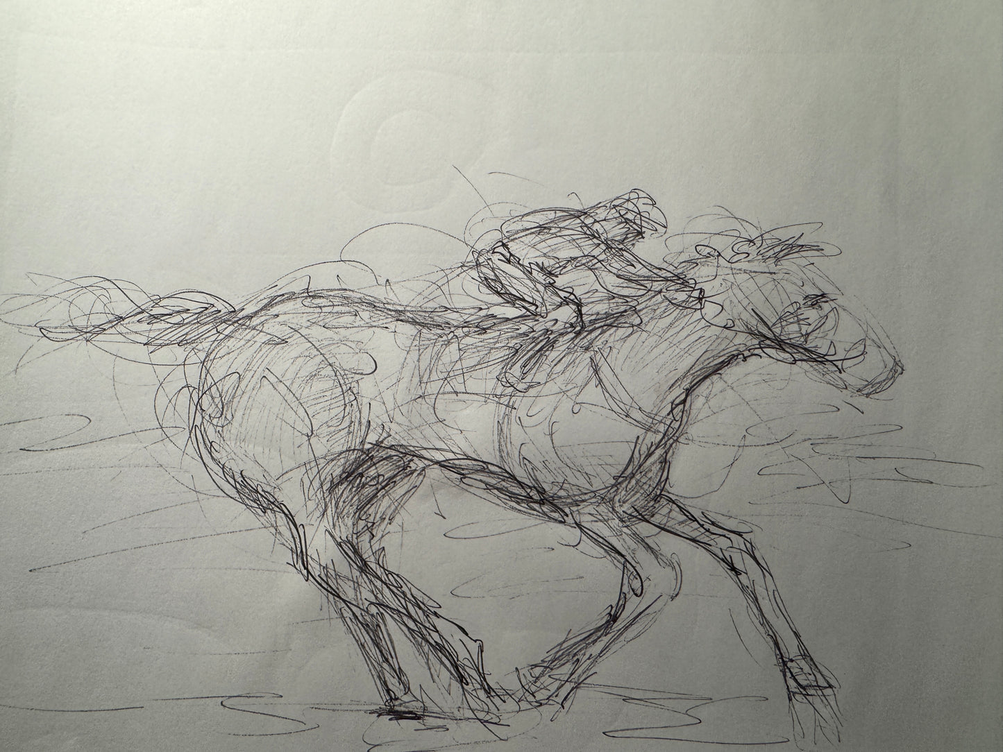 Horse Study